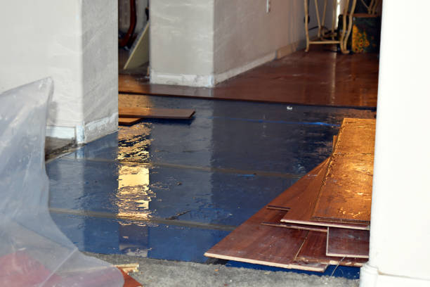 Professional Burst Pipe Cleanup technician working in Burlington, ND